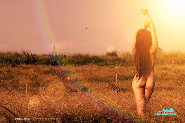 Vietnamese – AOT – No 48