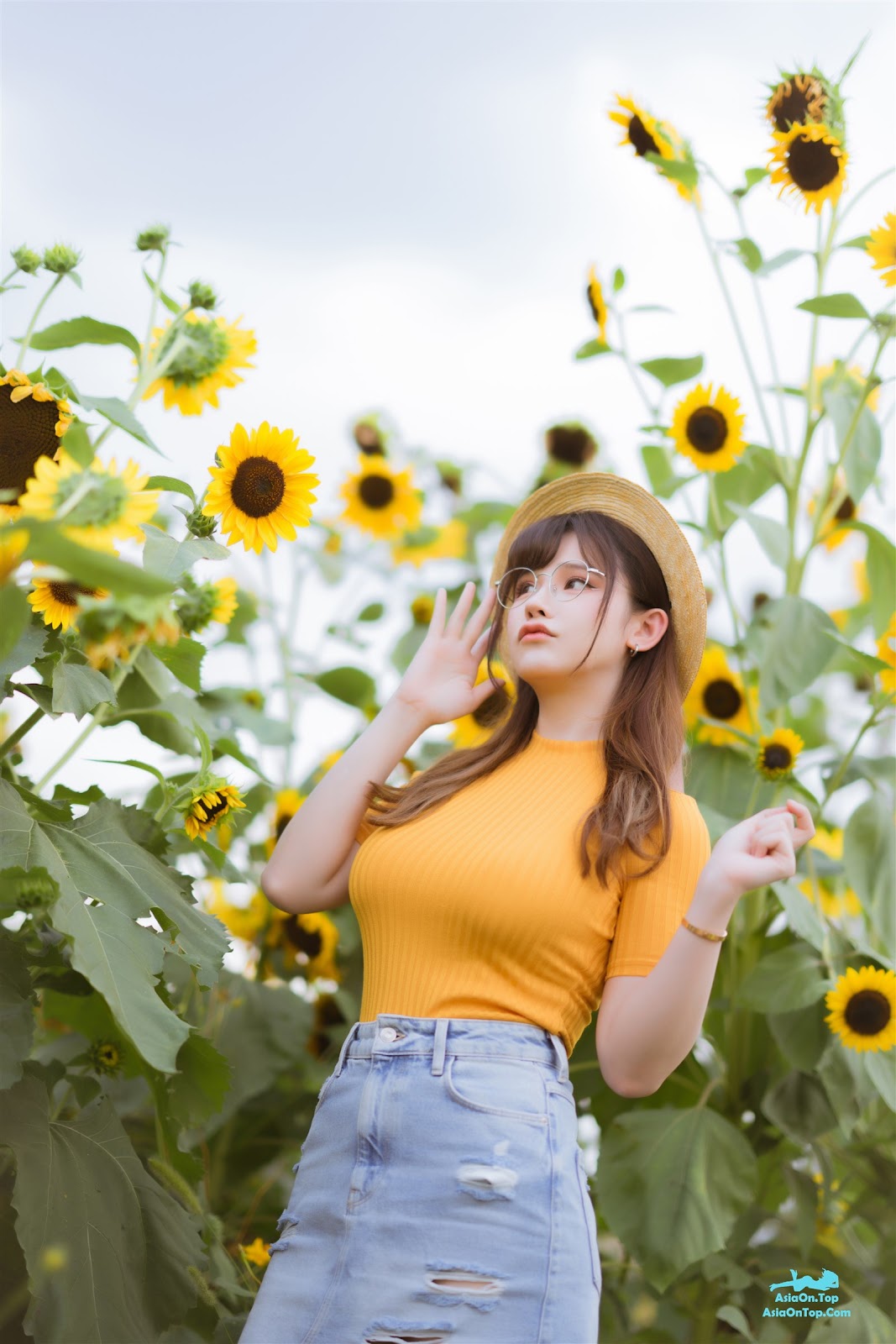 Coser@前羽_rr – 向日葵