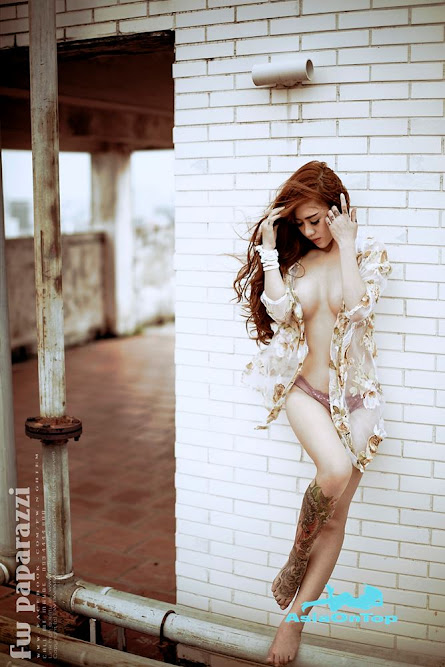 Vietnamese – AOT – No 17