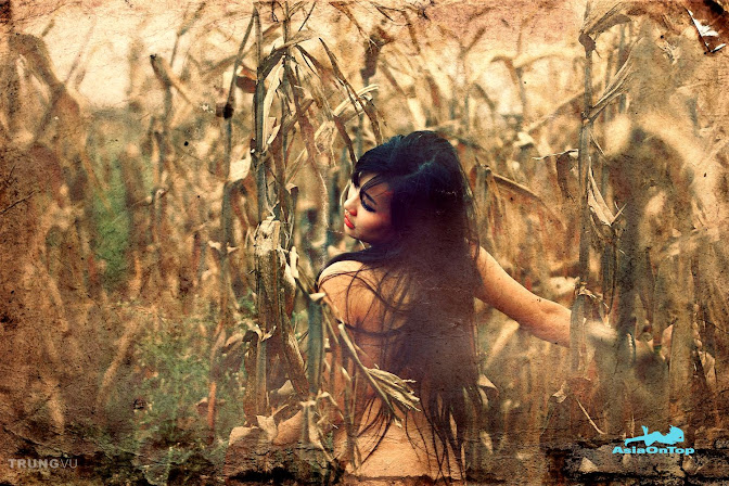 Vietnamese – AOT – No 46