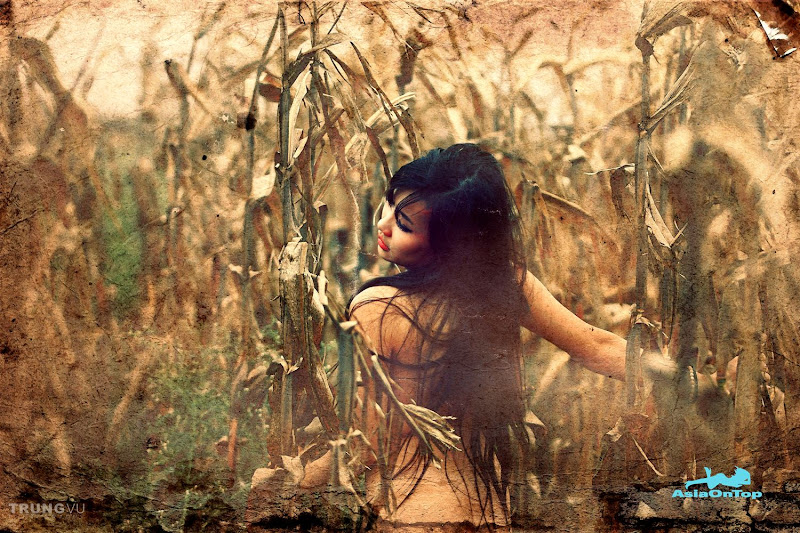 Vietnamese – AOT – No 46