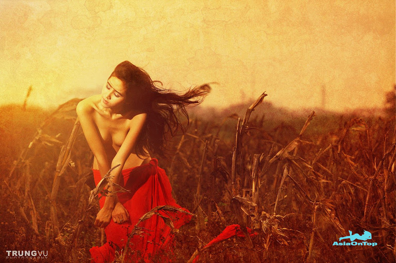 Vietnamese – AOT – No 47